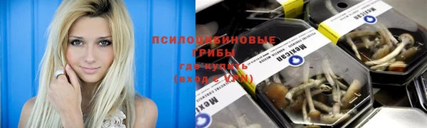 кокс Дмитриев