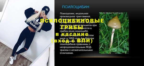 прущий лед Дмитровск