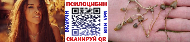 Галлюциногенные грибы ЛСД  Слободской 